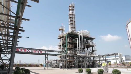 總投資4.7億 樂亭這個循環經濟項目迎來新進展