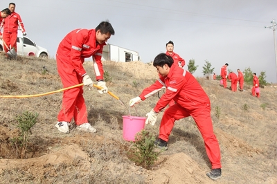 長慶油田采油七廠 企地共建“同心林”，科技賦能綠色發展